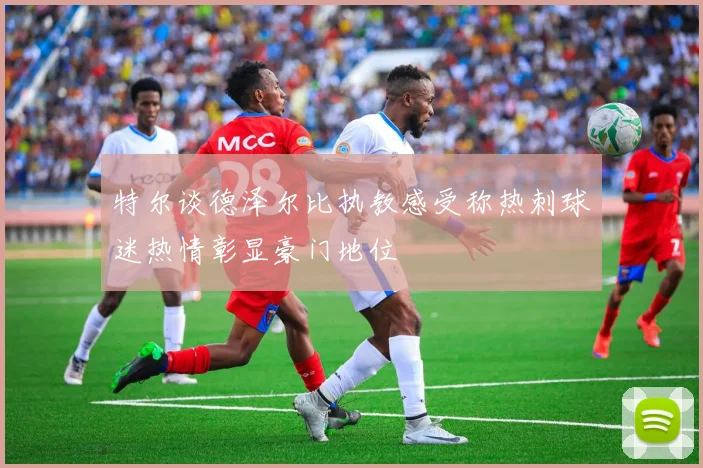 特尔谈德泽尔比执教感受称热刺球迷热情彰显豪门地位